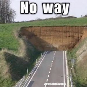 Meet your Posher, Genesis